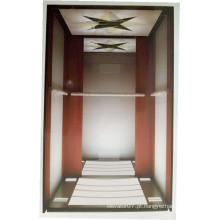 Fjzy-alta qualidade e segurança casa elevador fjs-1601